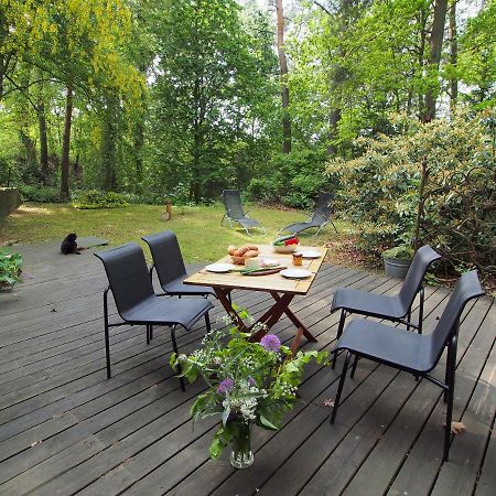 Ferienwohnung Am Duemmer See Dummer Exterior foto