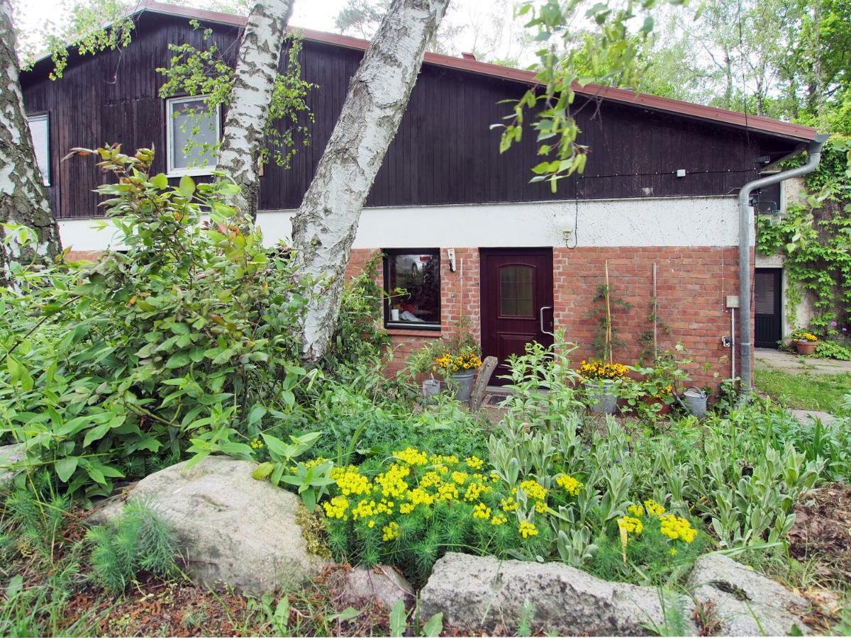 Ferienwohnung Am Duemmer See Dummer Exterior foto