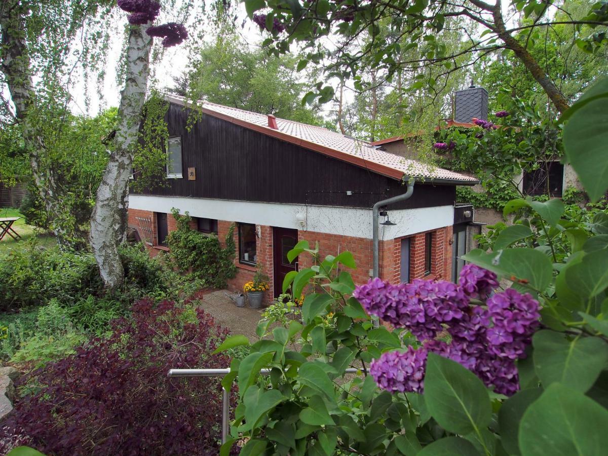 Ferienwohnung Am Duemmer See Dummer Exterior foto