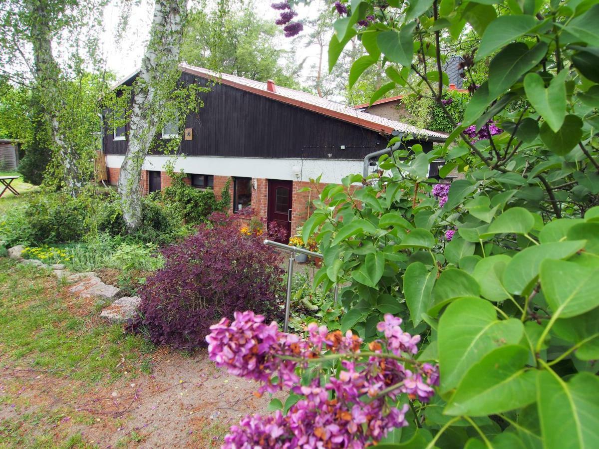 Ferienwohnung Am Duemmer See Dummer Exterior foto