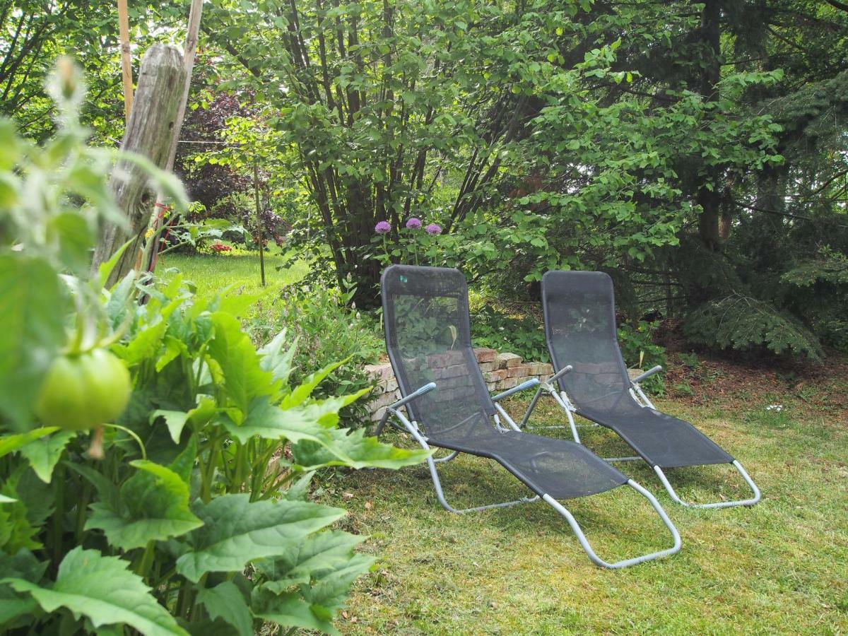Ferienwohnung Am Duemmer See Dummer Exterior foto