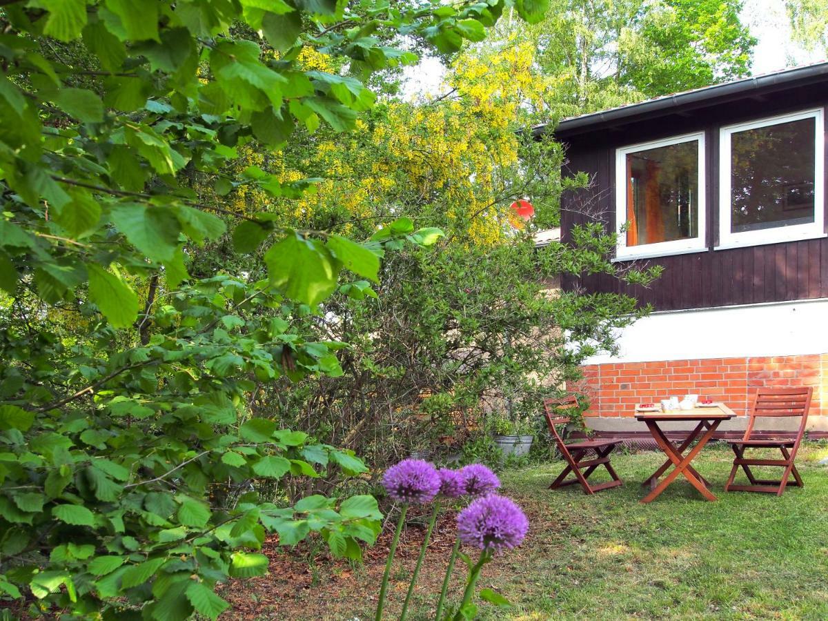 Ferienwohnung Am Duemmer See Dummer Exterior foto