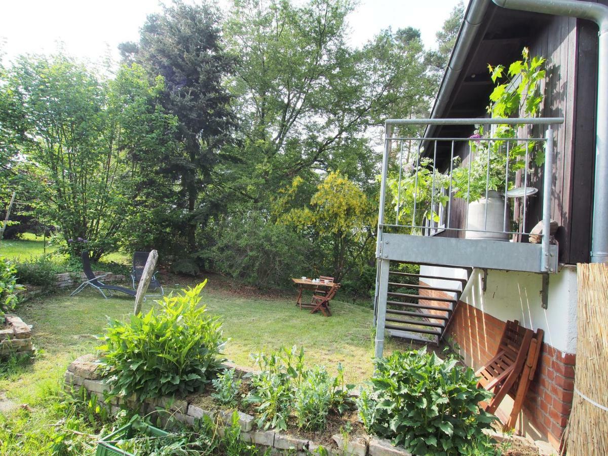 Ferienwohnung Am Duemmer See Dummer Exterior foto